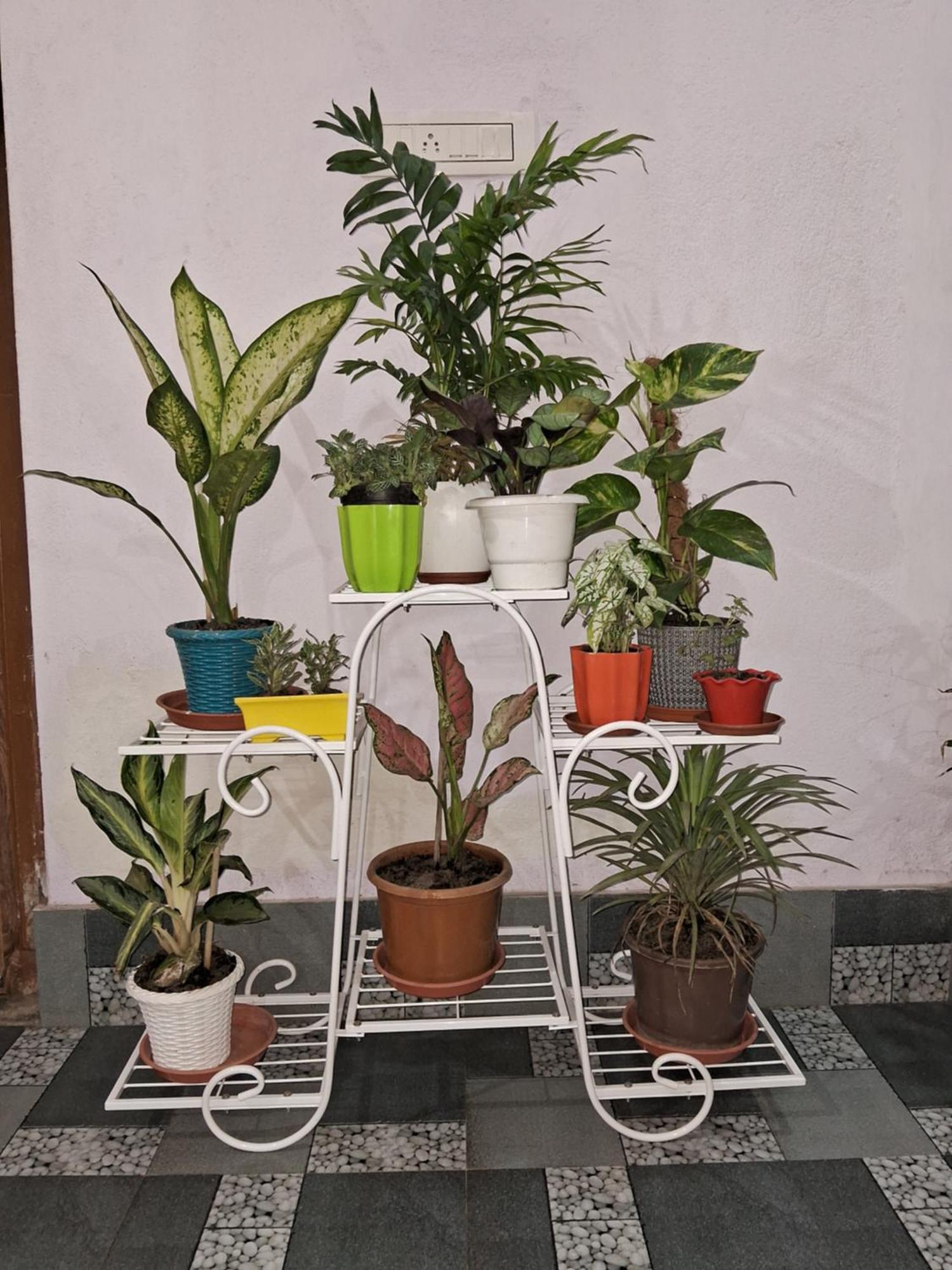 Anandi Home Stay Calcutta Exterior foto